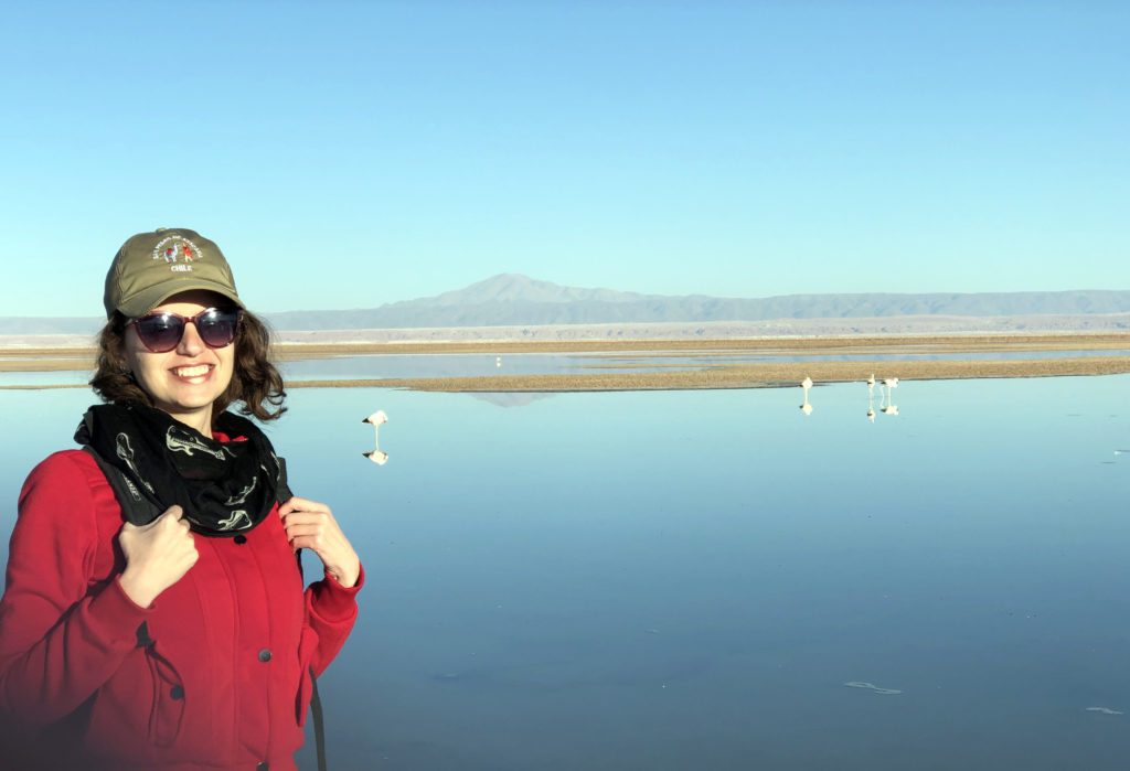 Deserto do Atacama - Flamingos