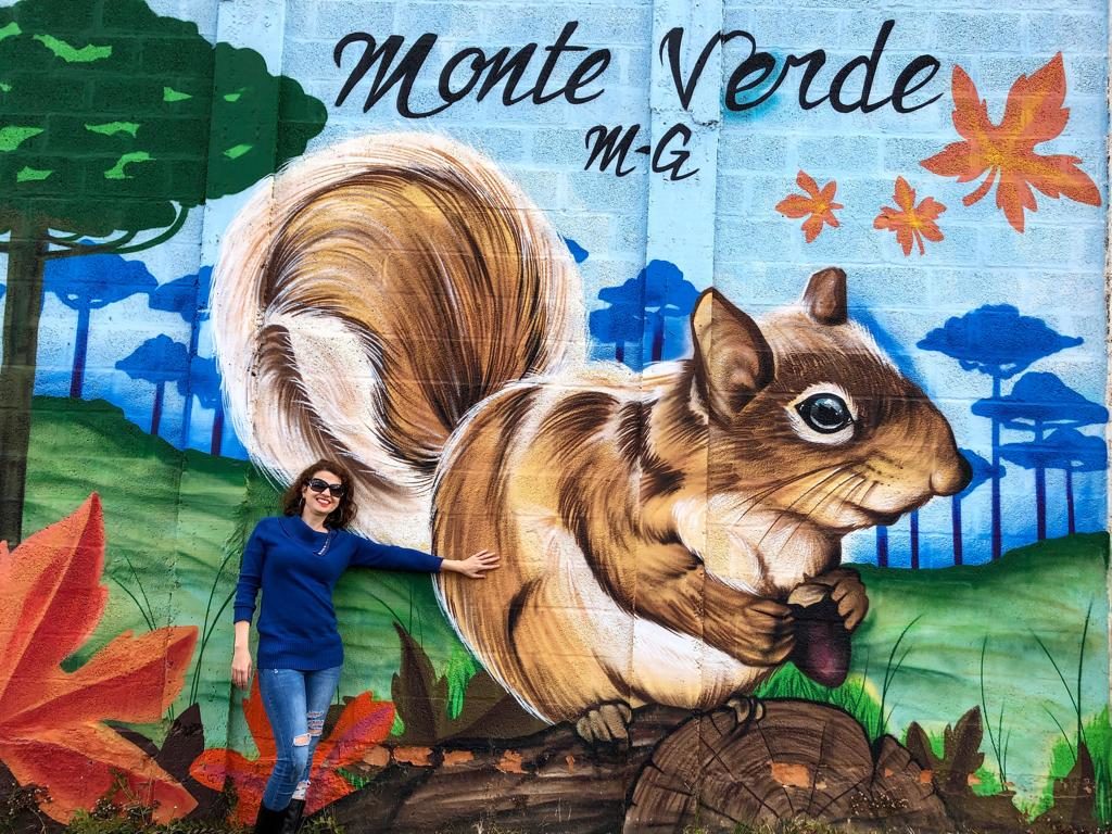 O que fazer em Monte Verde - Aeroporto esquilo