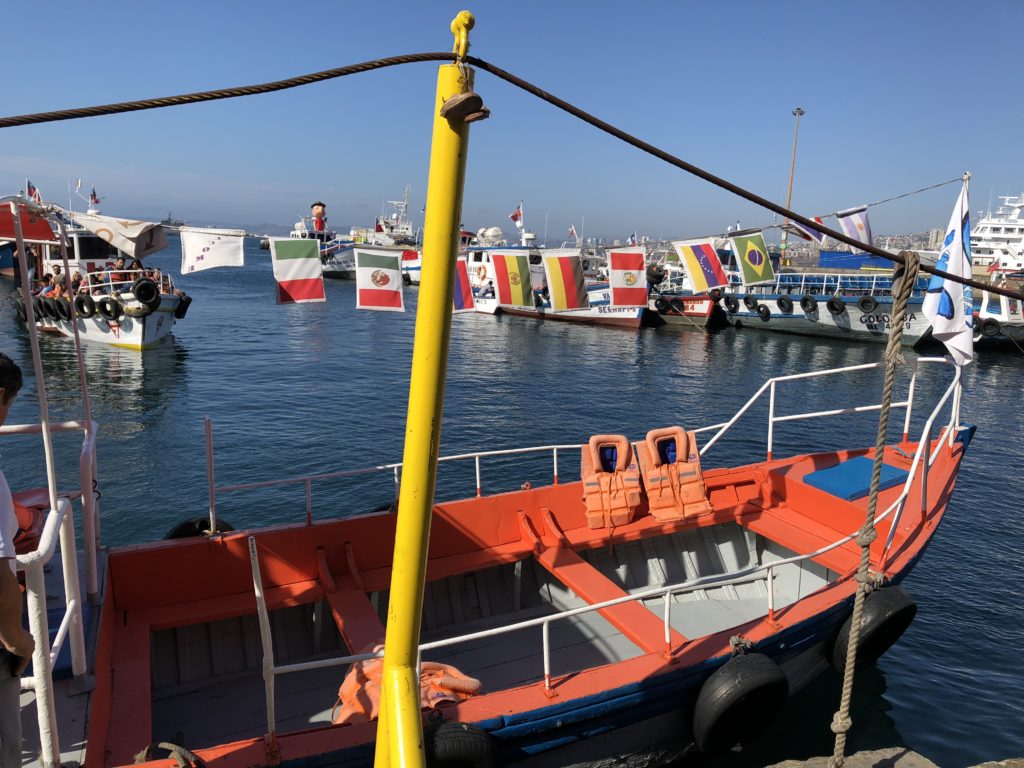 Viña del Mar e Valparaíso -  Passeio de barco