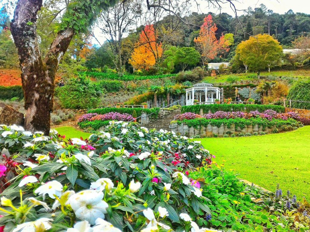 Le Jardin Parque de Lavanda em Gramado