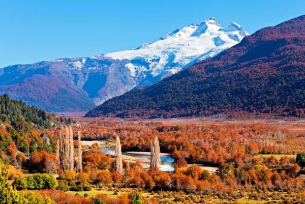 O que fazer em Bariloche: Cerro Tronador