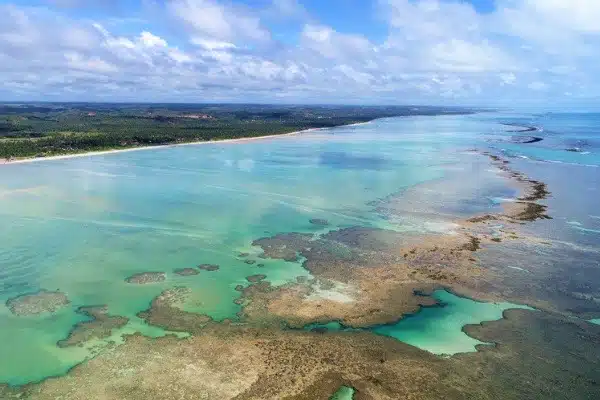 Passeio de Porto de Galinhas para Maragogi: piscinas naturais