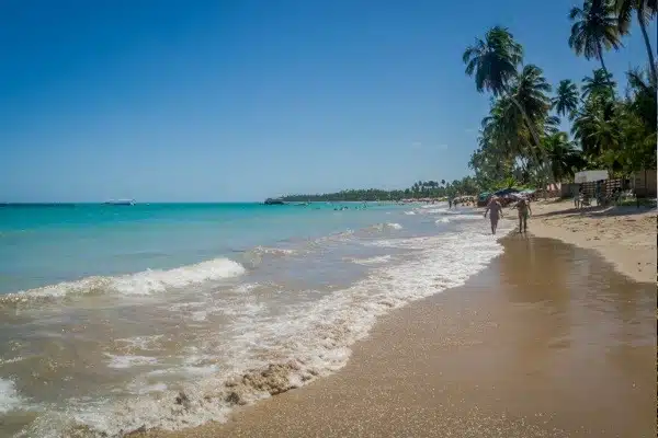 Passeio de Porto de Galinhas para Maragogi