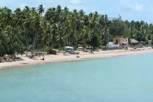 Praia do Toque em São Miguel dos Milagres - Alagoas