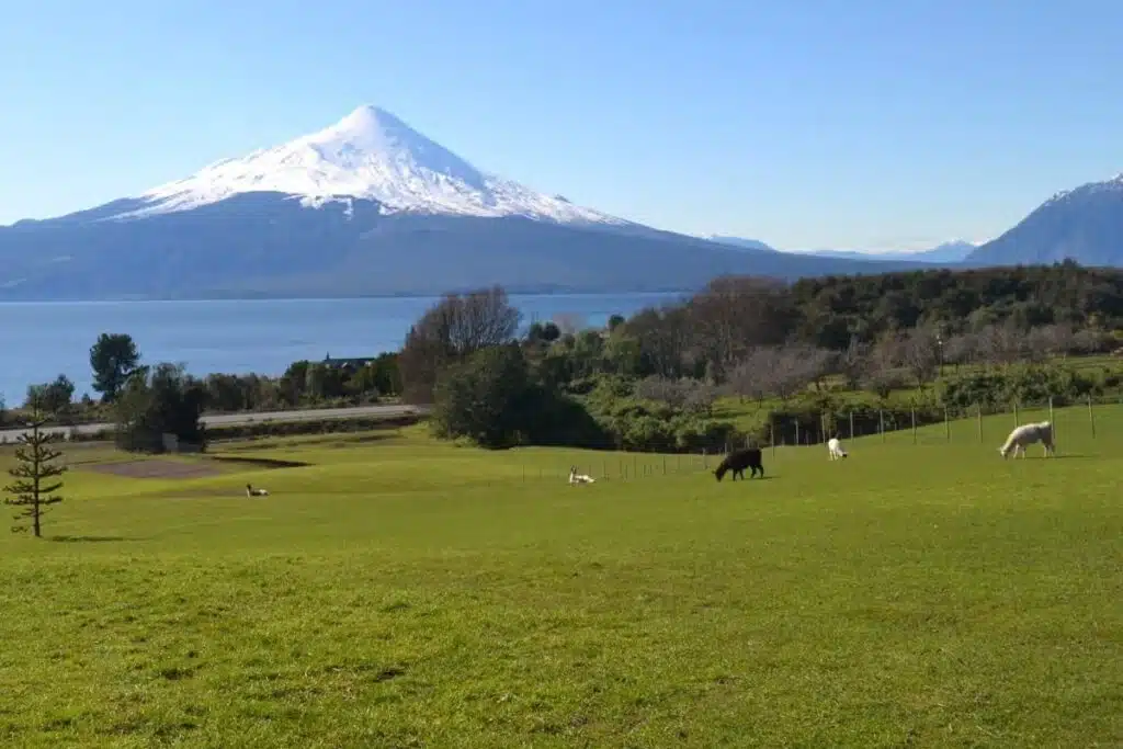 Lagos Andinos - Vulcão Osorno 