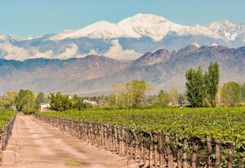 Paisagem: vinícolas em Mendoza na Argentina