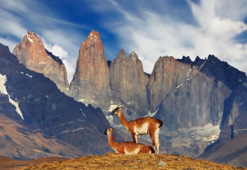 O que fazer em Torres del Paine: Patagônia Chilena