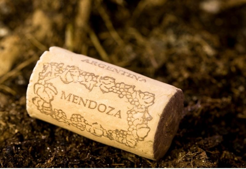Tours para vinícolas em Mendoza