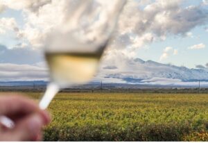 Vinícolas em Mendoza para conhecer